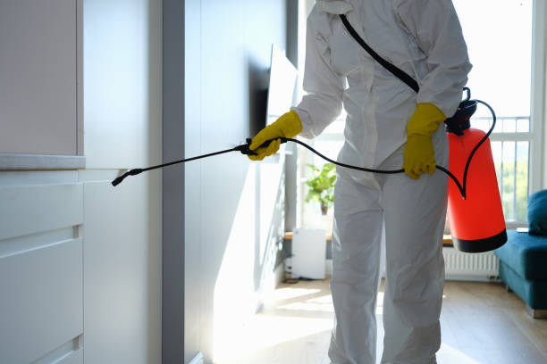 Best Mold Odor Removal Services  in Cottonwood Shores, TX