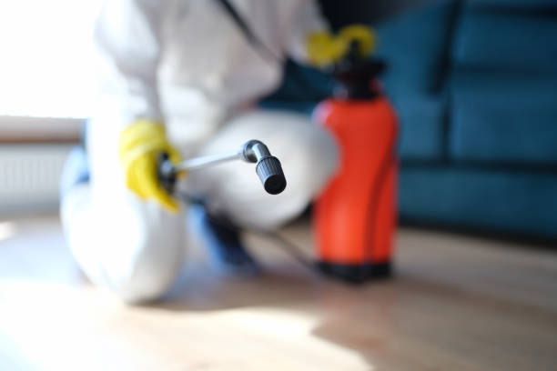 Mold Removal for HVAC Installations in Cottonwood Shores, TX